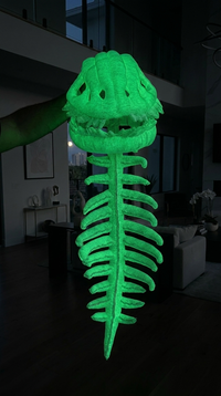 Glow In Dark
